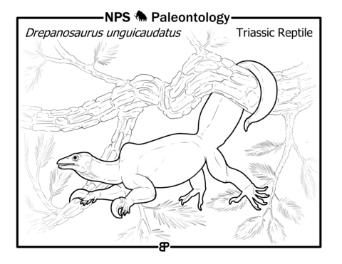 Triassic Reptile (Drepanosaurus Unguicaudatus) Coloring Page